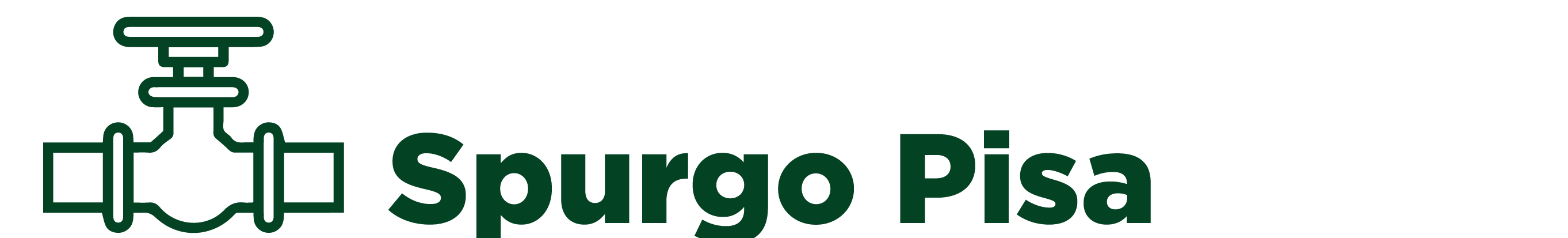 Pronto Intervento Spurgo
